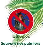 Réunion publique SAUVONS NOS PALMIERS : STRATEGIES DE LUTTE & PERSPECTIVES DE RECHERCHE. Le lundi 16 juin 2014 à Toulon. Var.  18H30